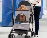 Bingo Paw - Large Pet Stroller Foldable Dog Cat Travel Carriage with Detachable Carrier Cart XPET127 7427140043972